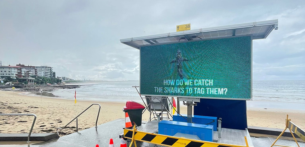 media that moves solar ad trailer shark watch 2 980px